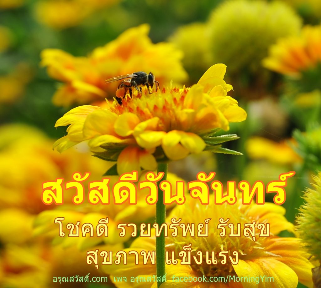 สวัสดีวันจันทร์