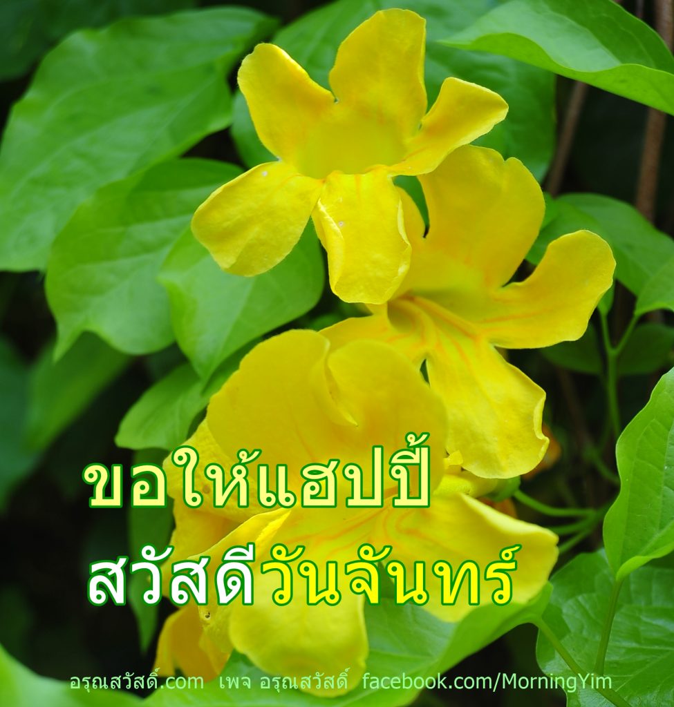 สวัสดีวันจันทร์