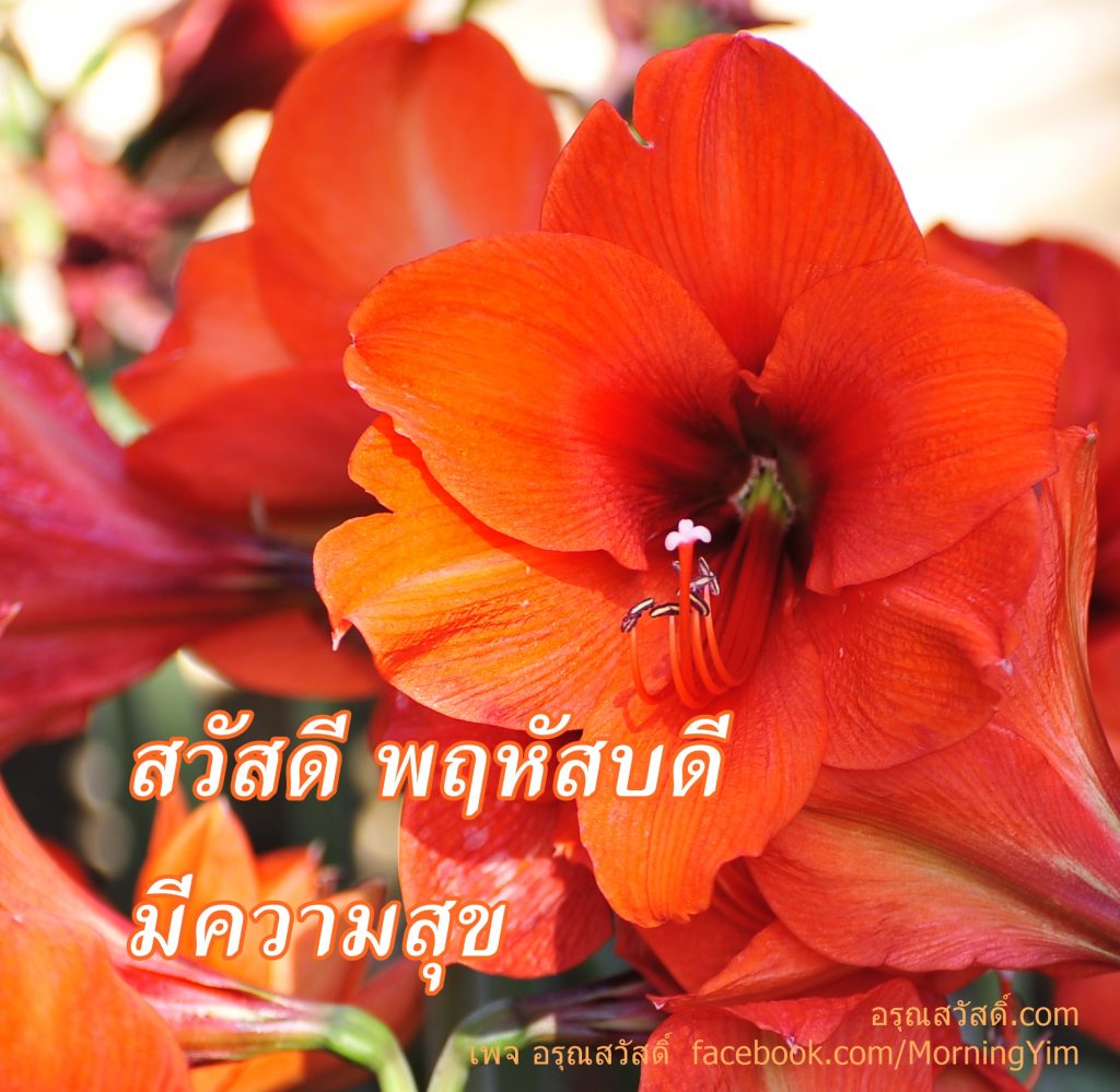 สวัสดีวันพฤหัสบดี