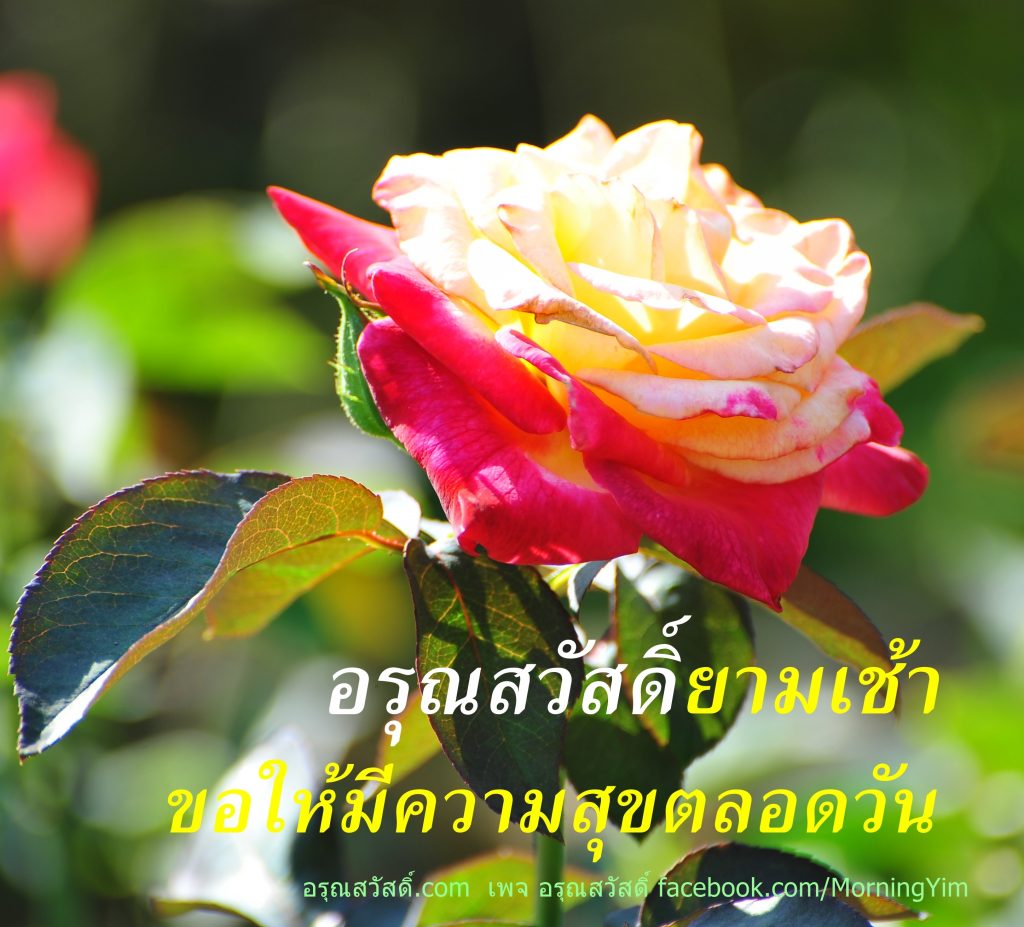 อรุณสวัสดิ์