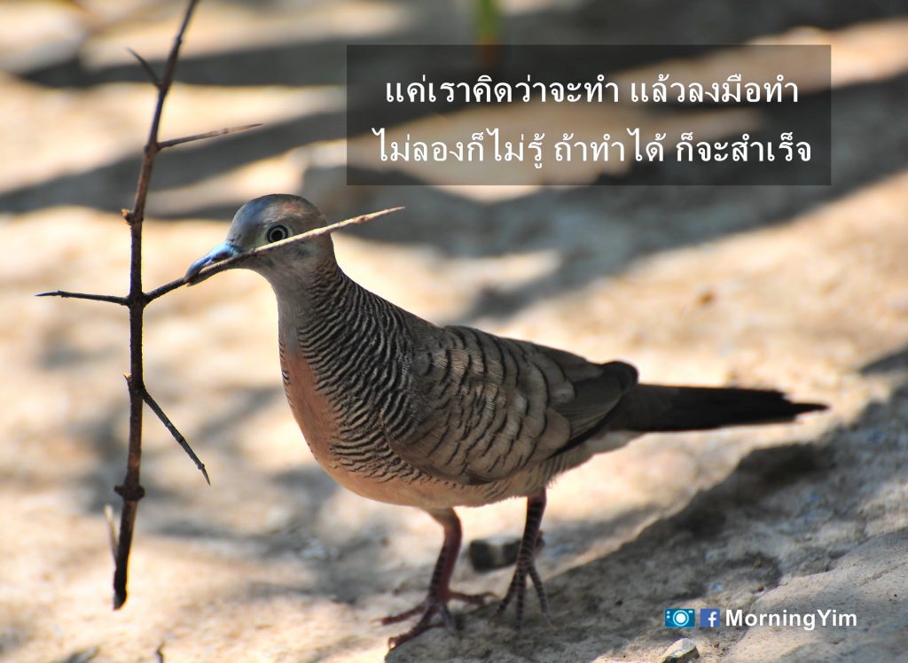 คำคมชีวิต