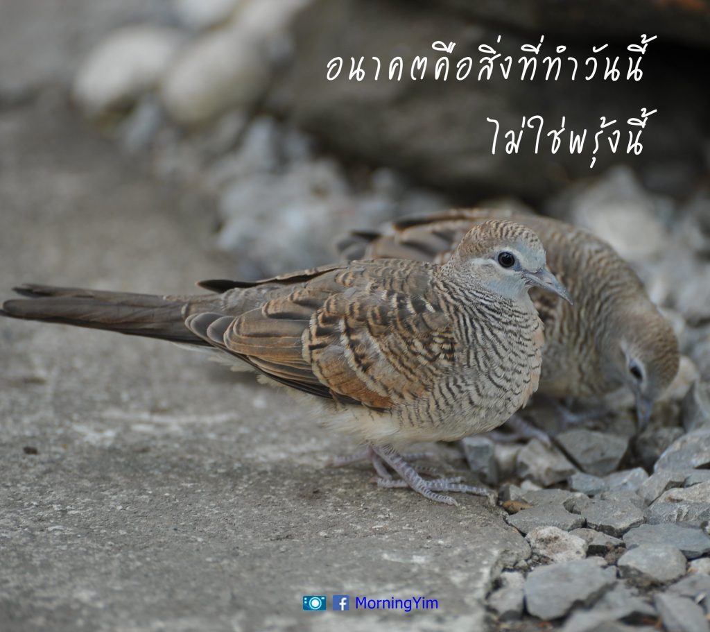 คำคมชีวิต และกำลังใจ