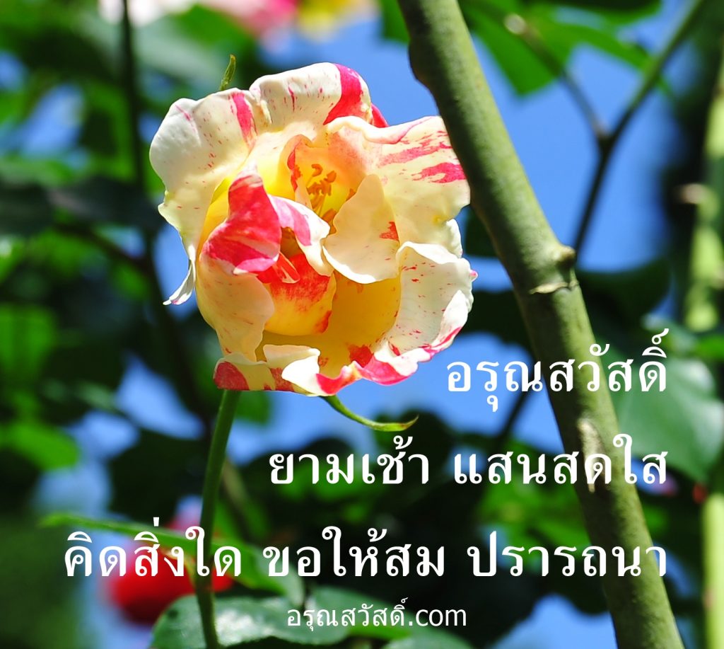 อรุณสวัสดิ์