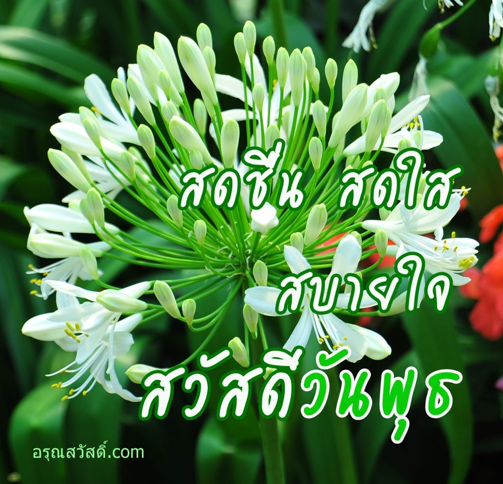 สวัสดีวันพุธ