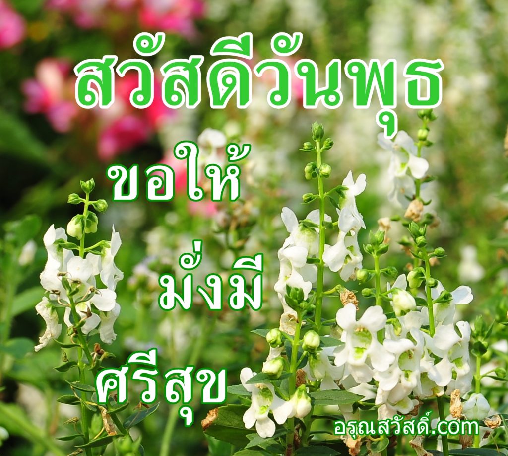 สวัสดีวันพุธ