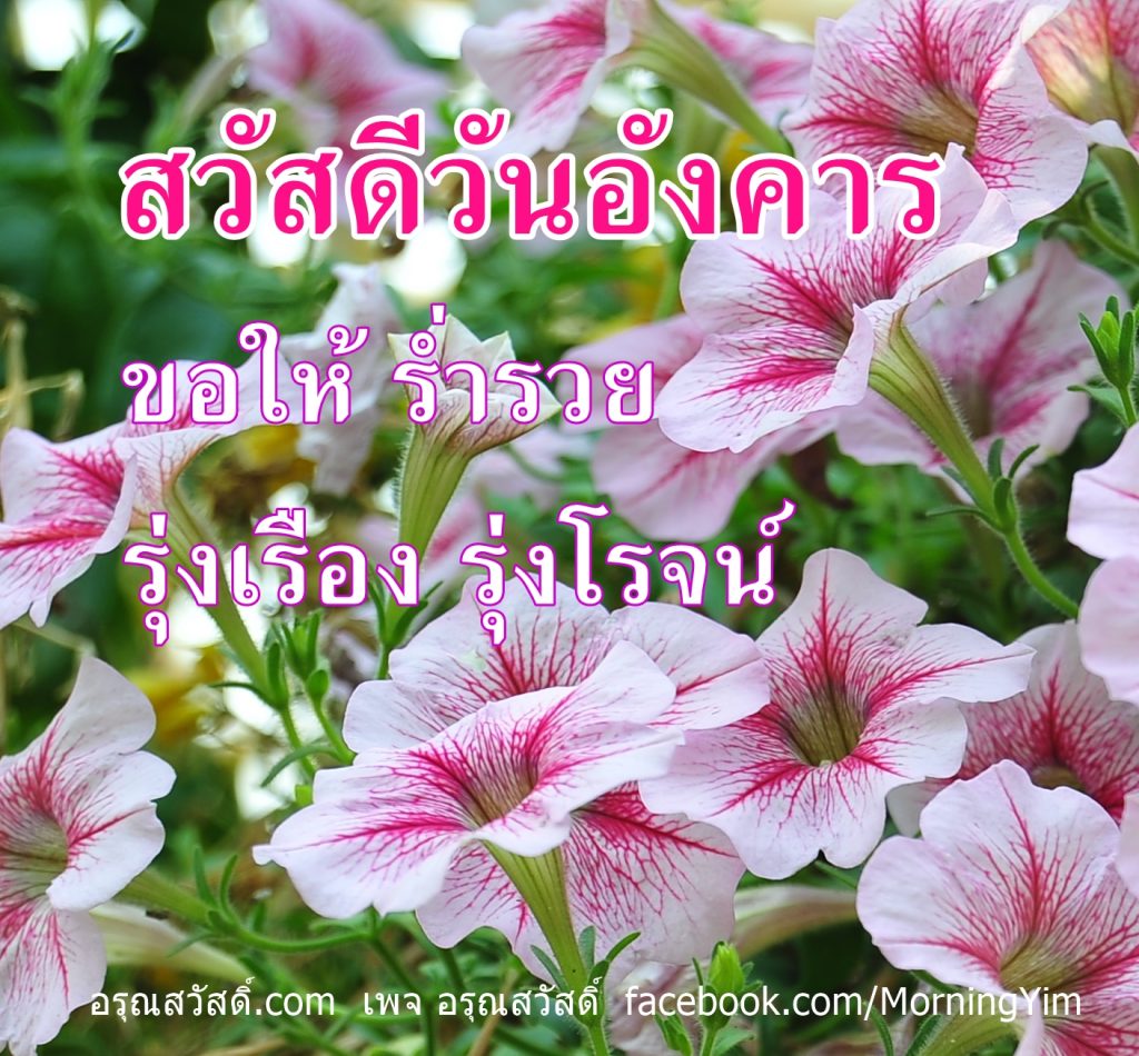 สวัสดีวันอังคาร