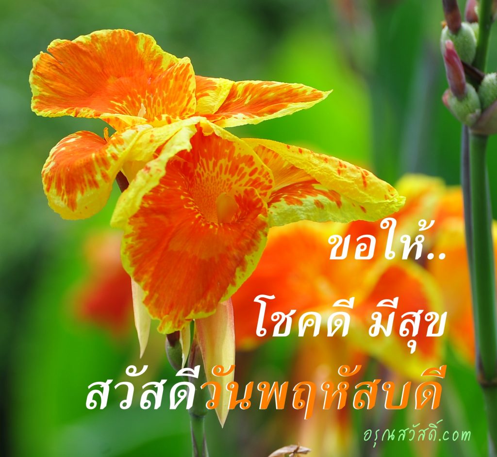 สวัสดีวันพฤหัสบดี
