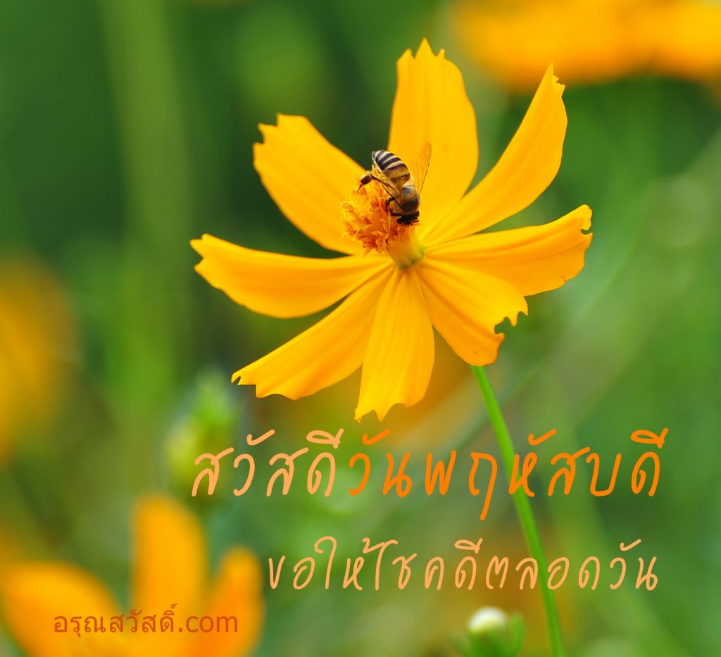 สวัสดีวันพฤหัสบดี