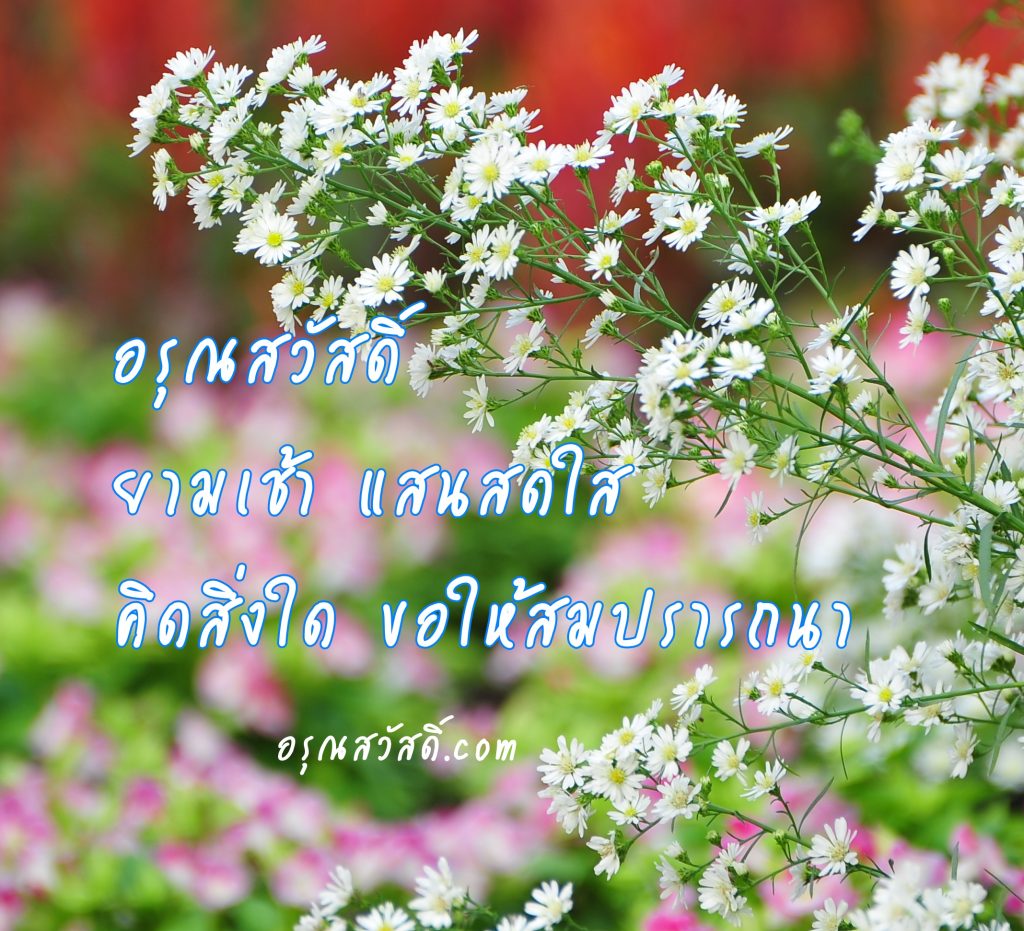 อรุณสวัสดิ์