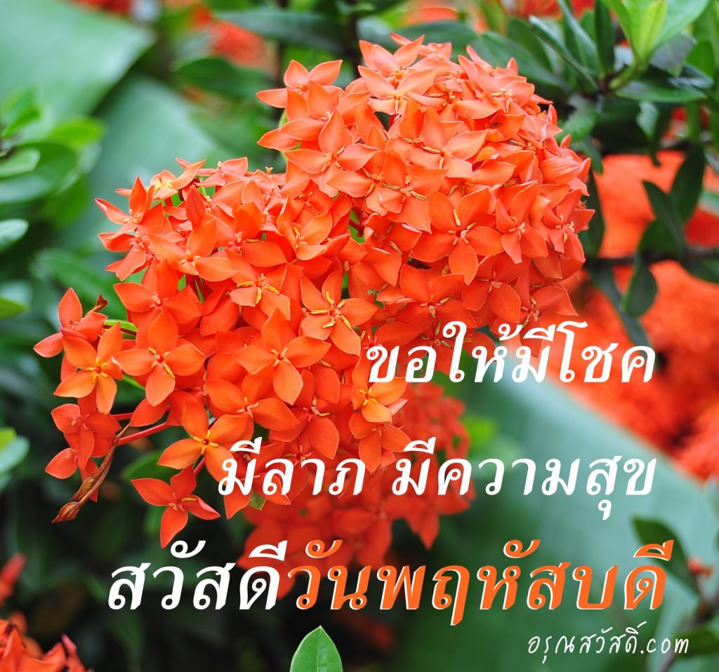 สวัสดีวันพฤหัสบดี