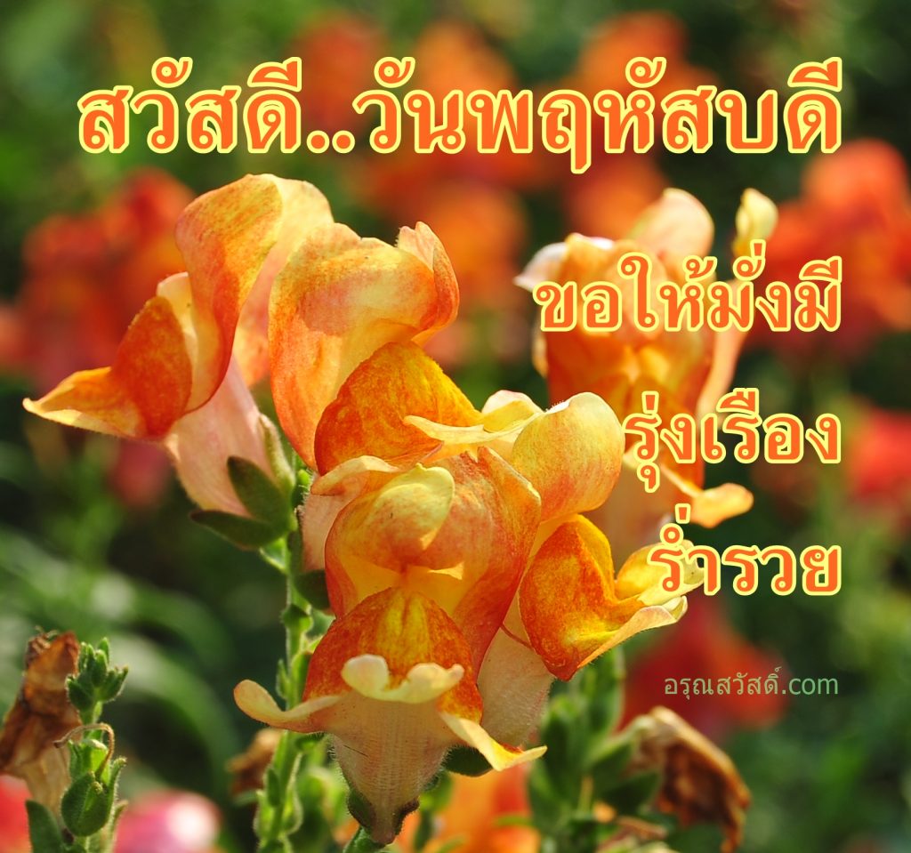 สวัสดีวันพฤหัสบดี