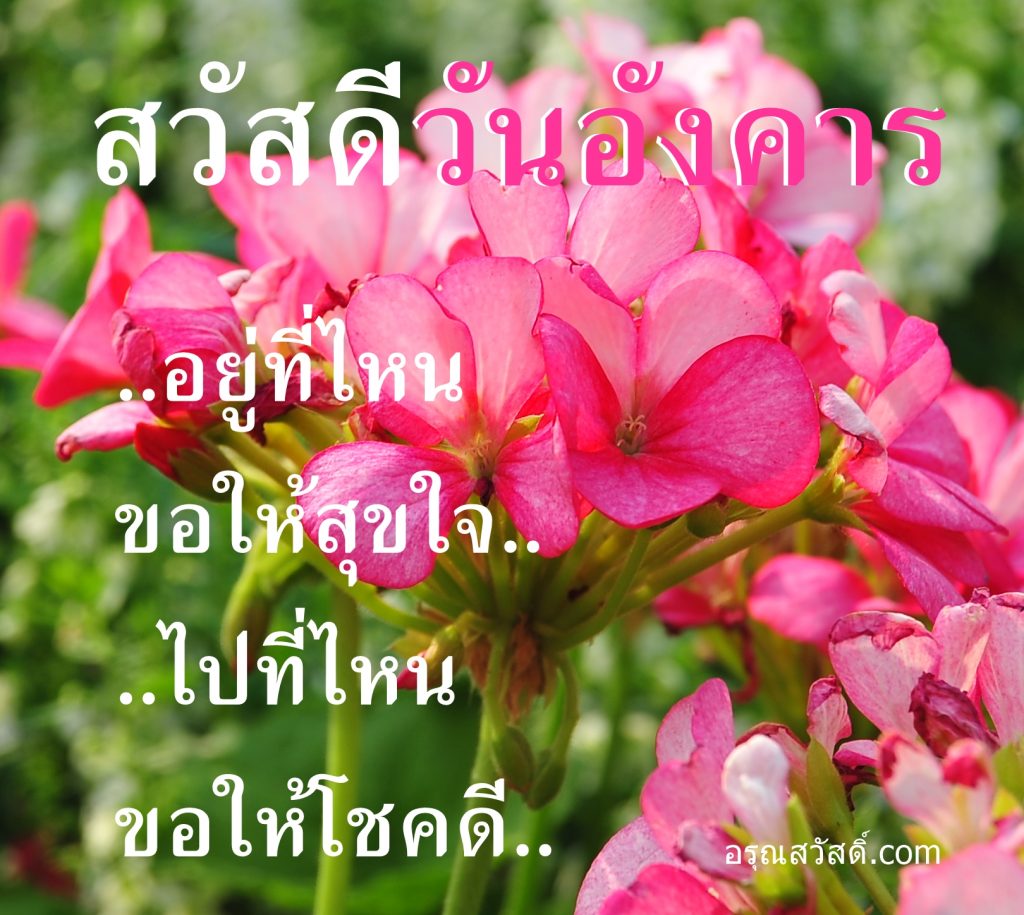 สวัสดีวันอังคาร