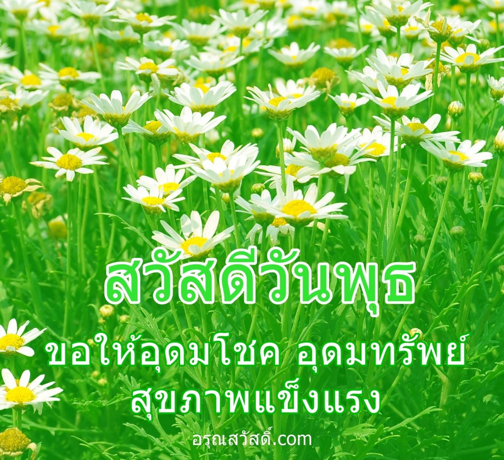 สวัสดีวันพุธ
