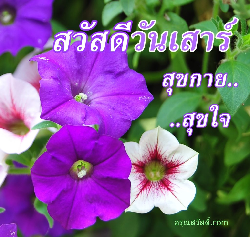 สวัสดีวันเสาร์