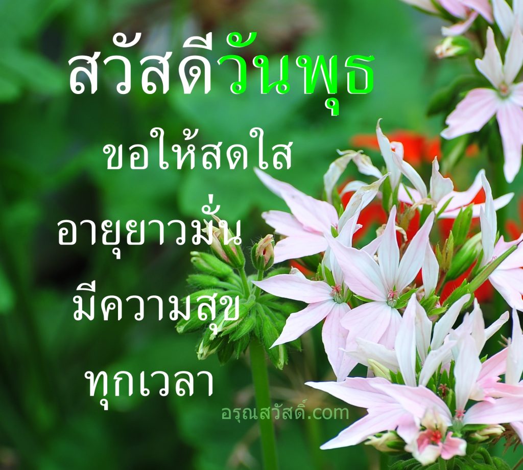My Image 75