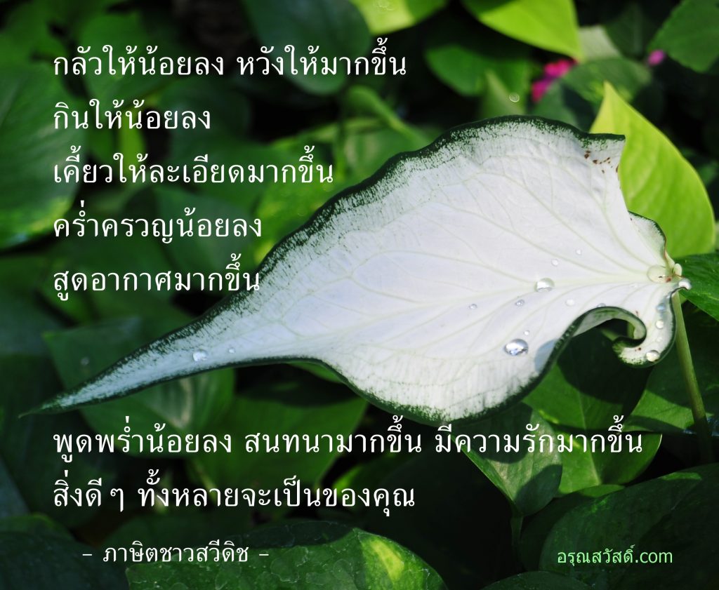 คำคมชีวิต