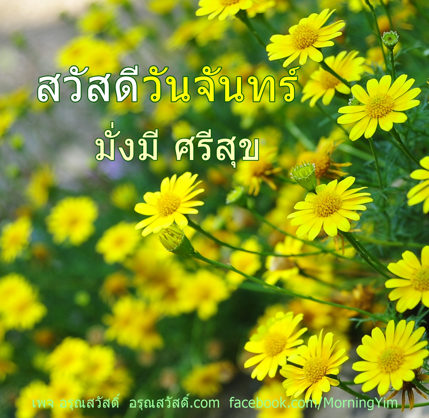 สวัสดีวันจันทร์
