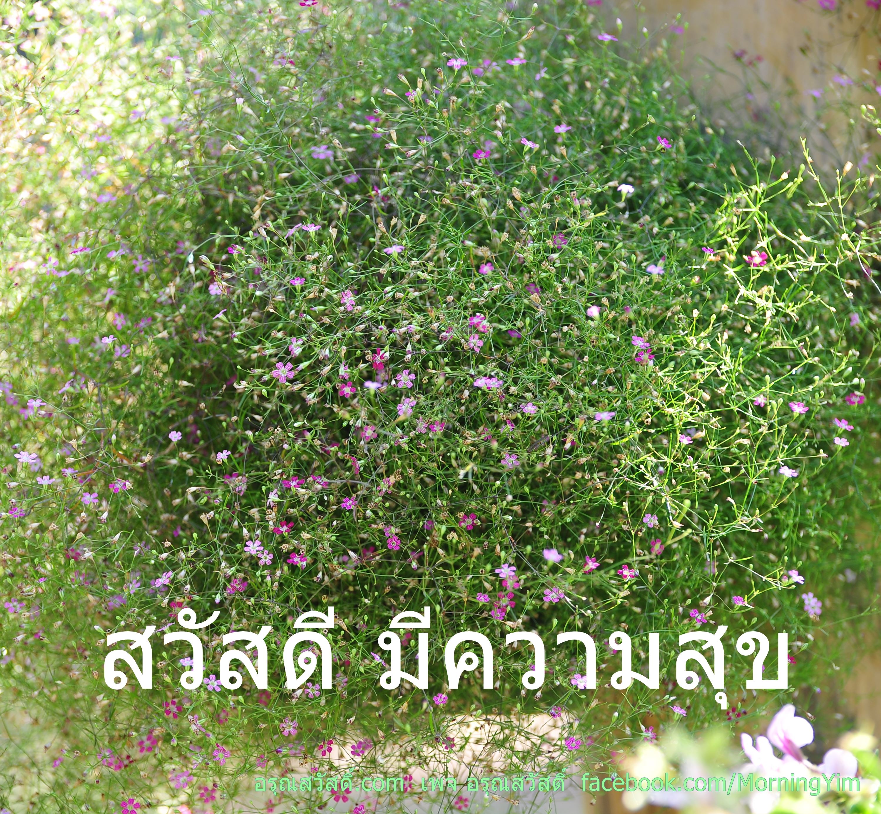 อรุณสวัสดิ์