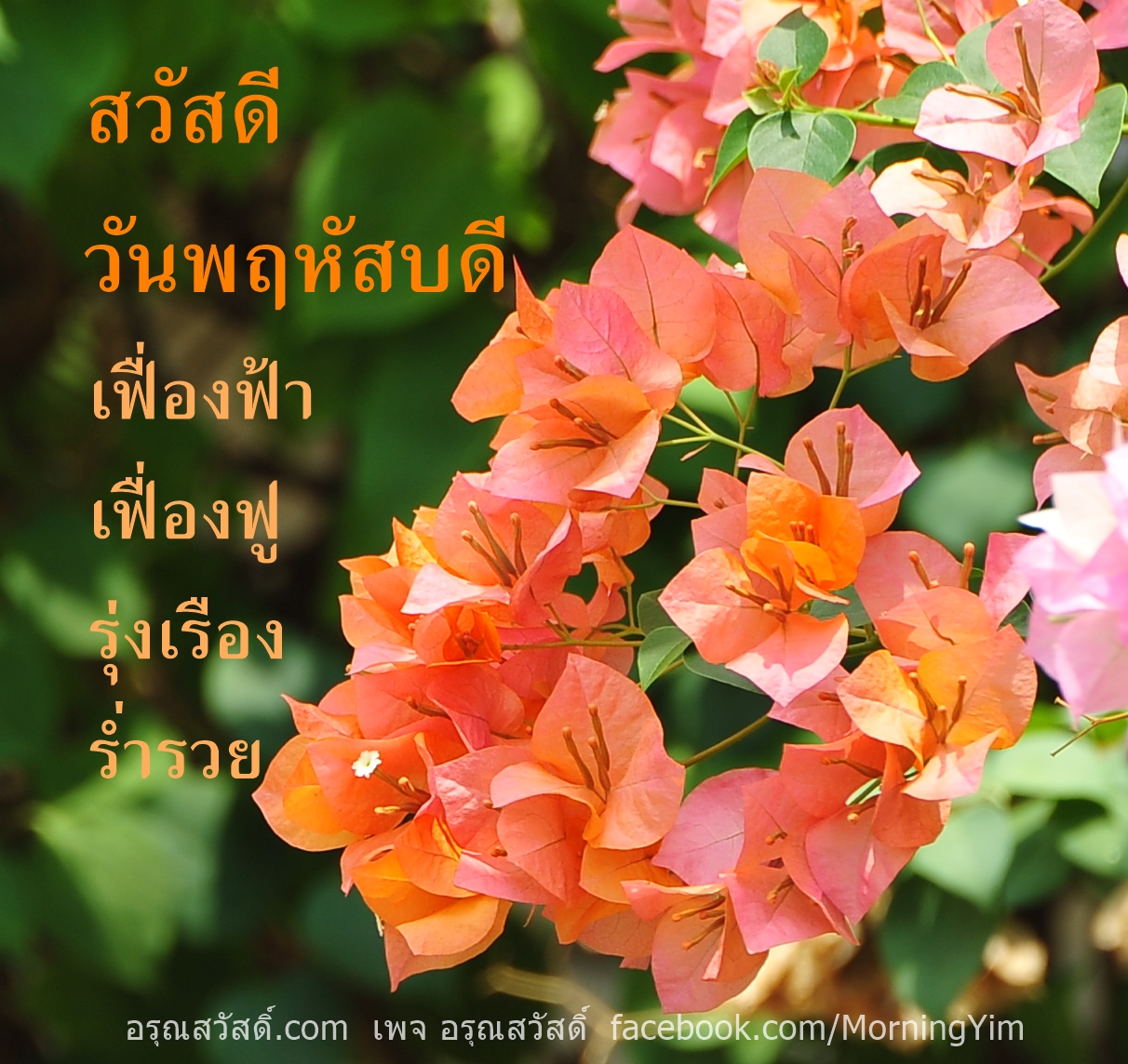 สวัสดีวันพฤหัสบดี