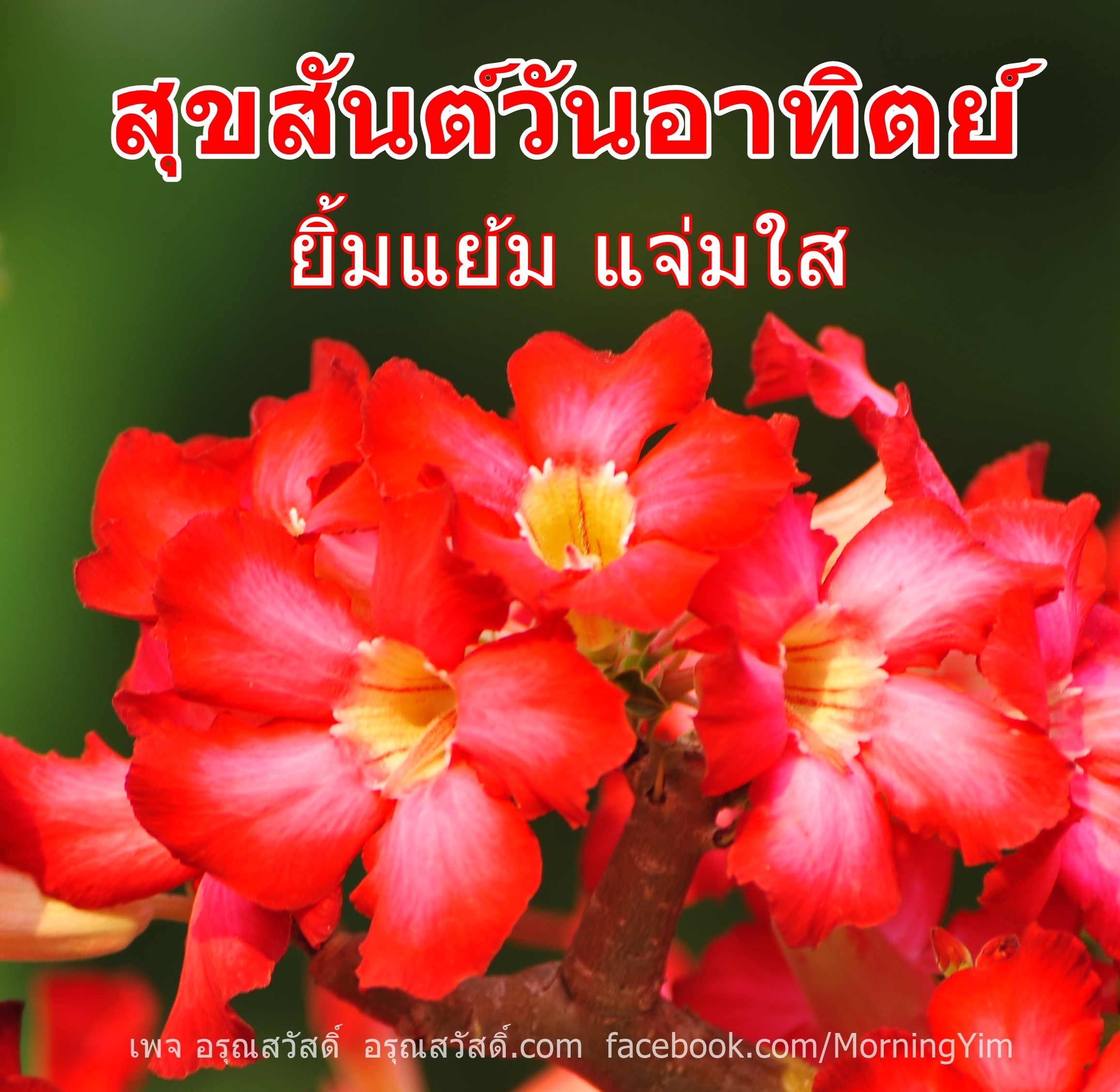 สุขสันต์วันอาทิตย์