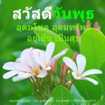 สวัสดีวันพุธ