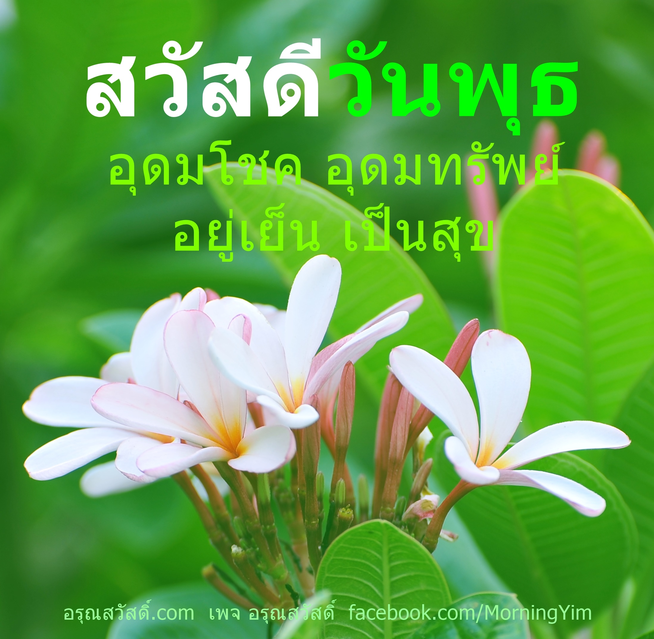 สวัสดีวันพุธ