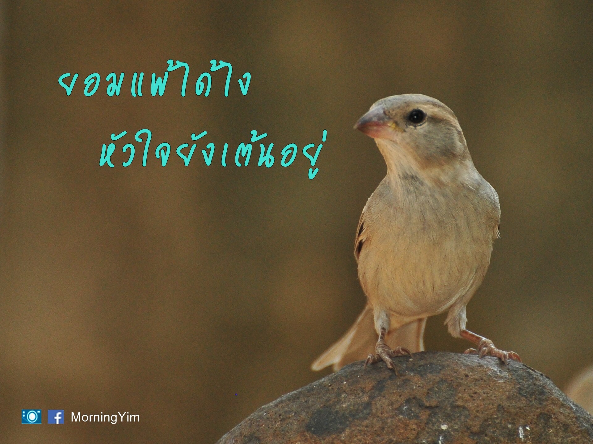 คำคมชีวิต ความรักและกำลังใจ