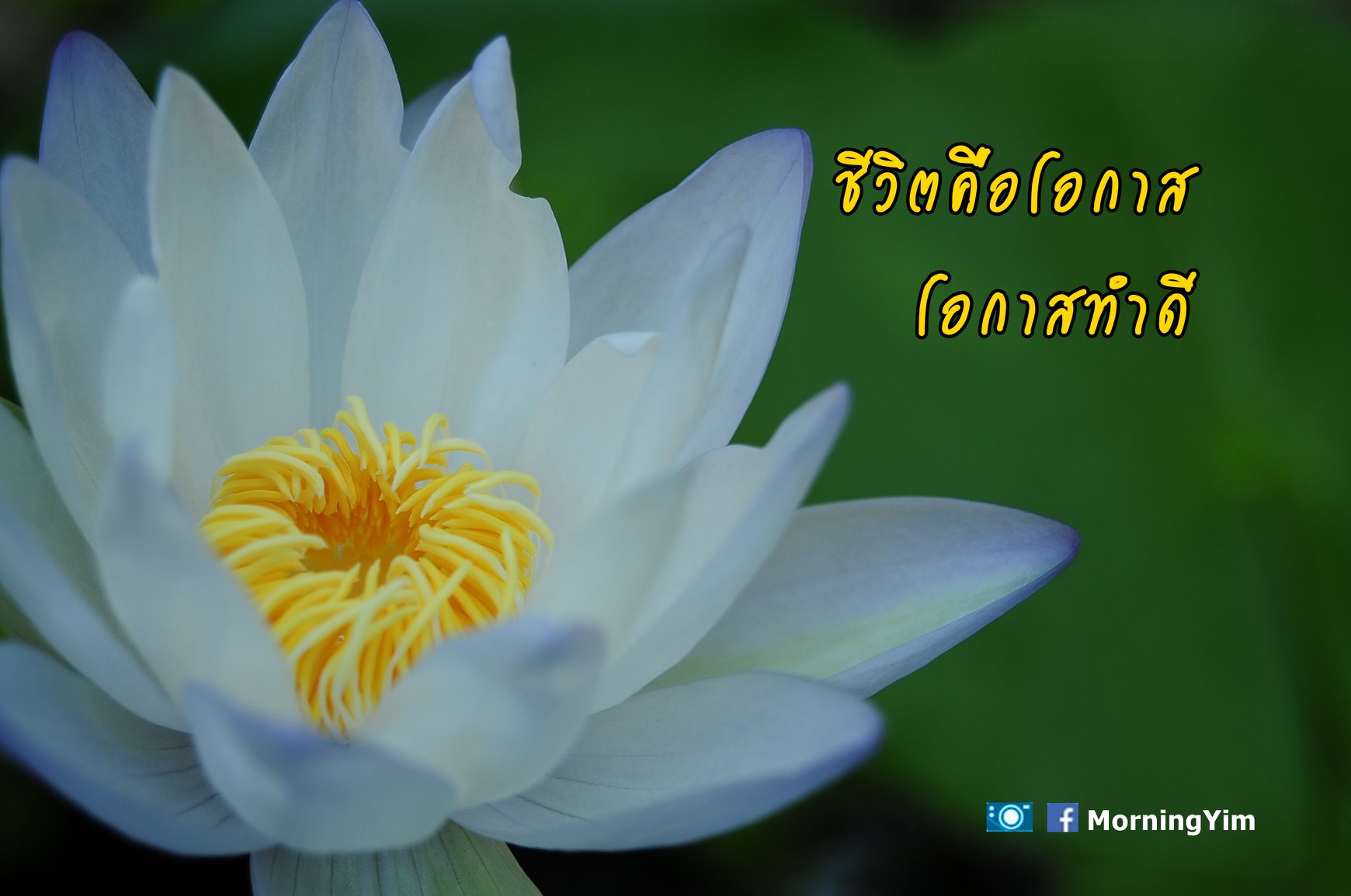 คำคม ชีวิต ความรัก กำลังใจ