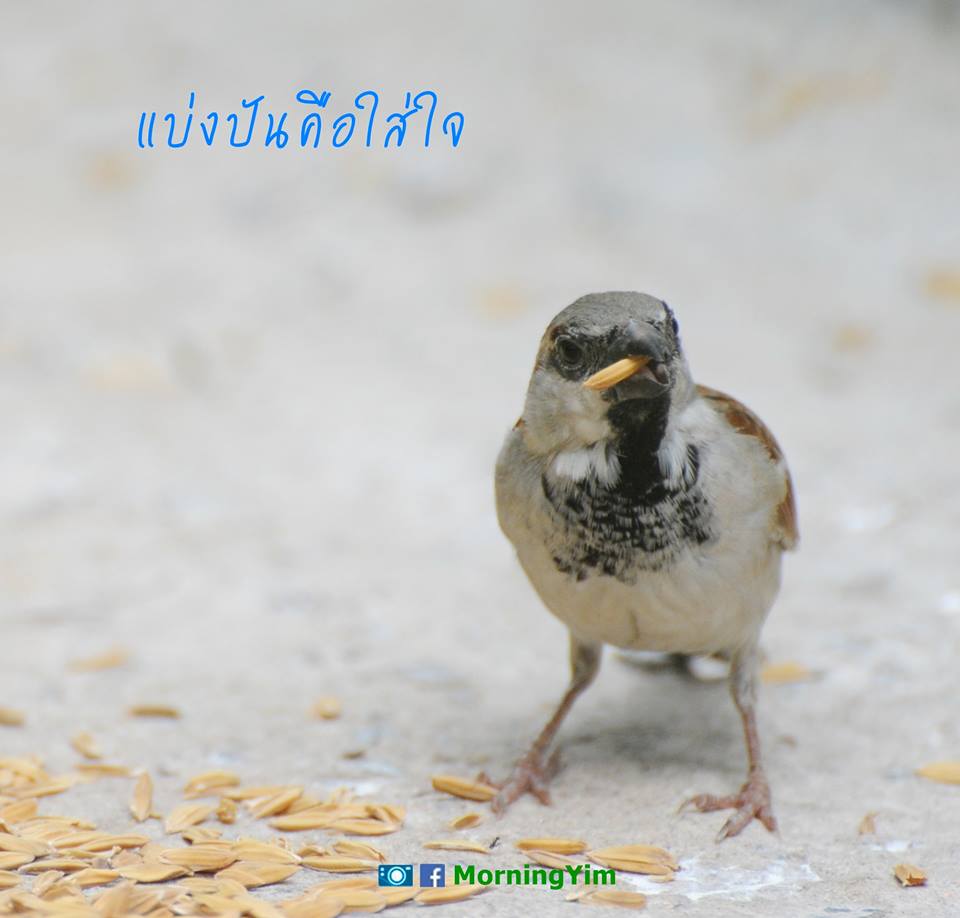คำคม ชีวิต ความรัก กำลังใจ
