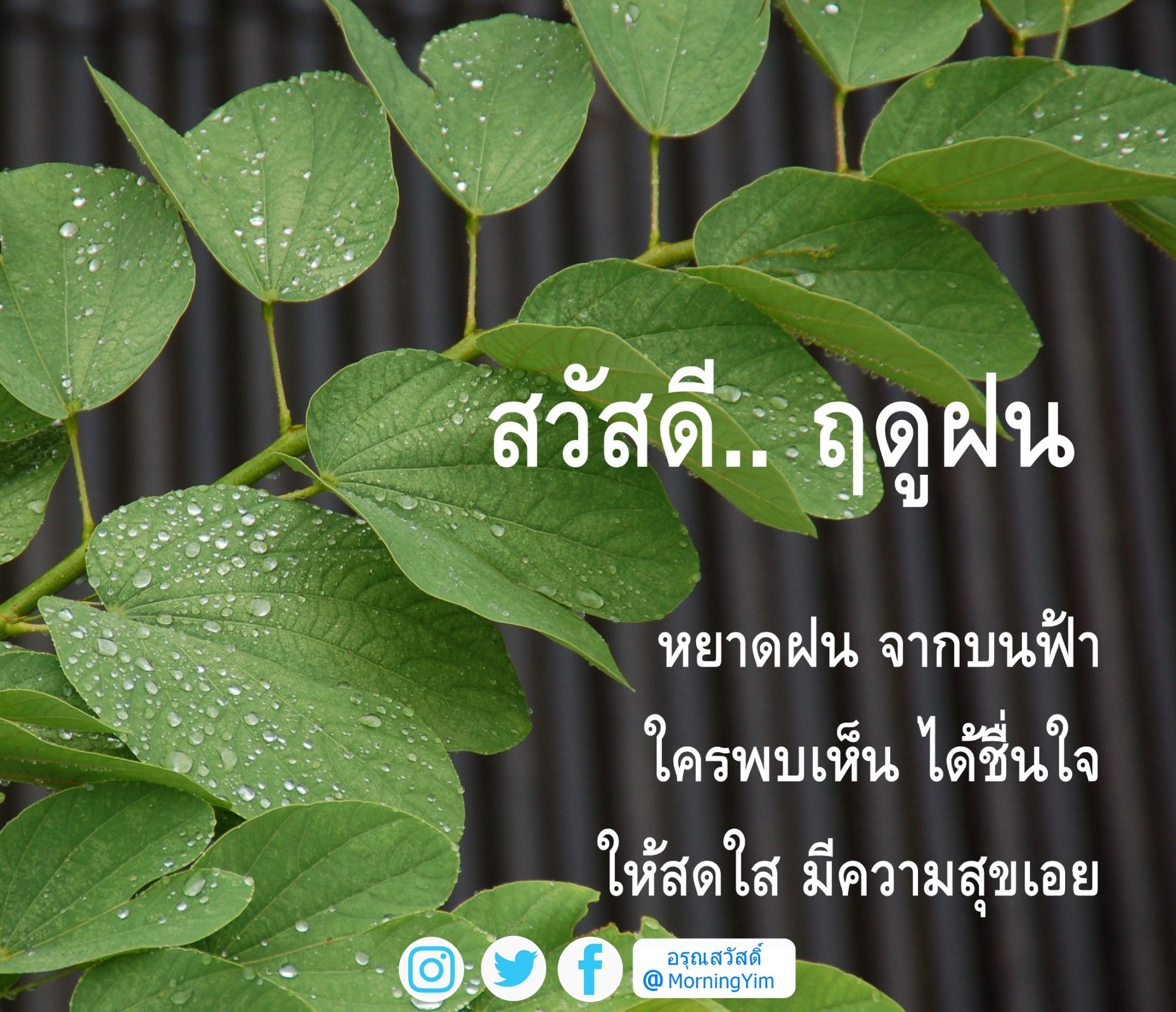 อรุณสวัสดิ์ฤดูฝน