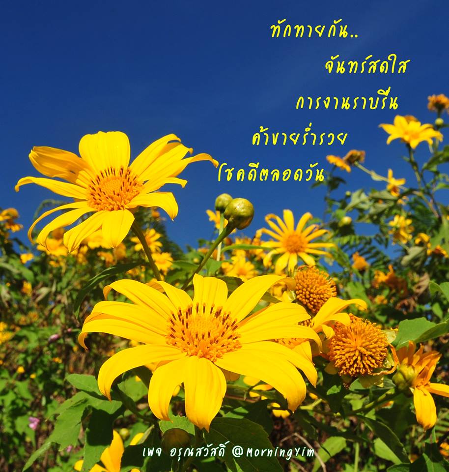 อรุณสวัสดิ์วันจันทร์