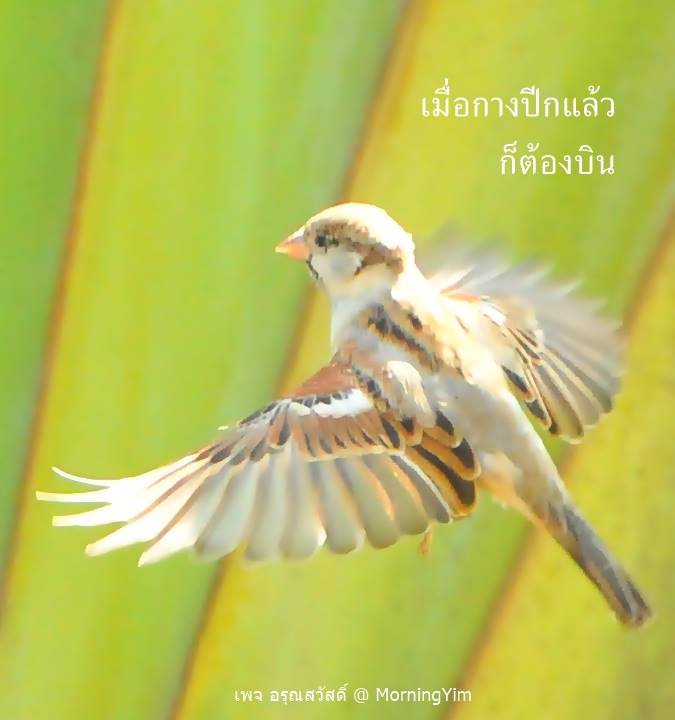 คำคม ชีวิต ความรัก กำลังใจ