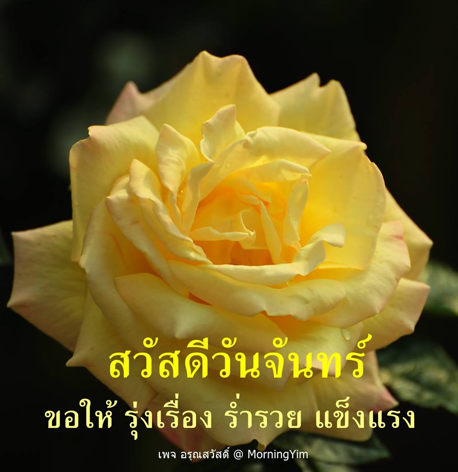 สวัสดีวันจันทร์