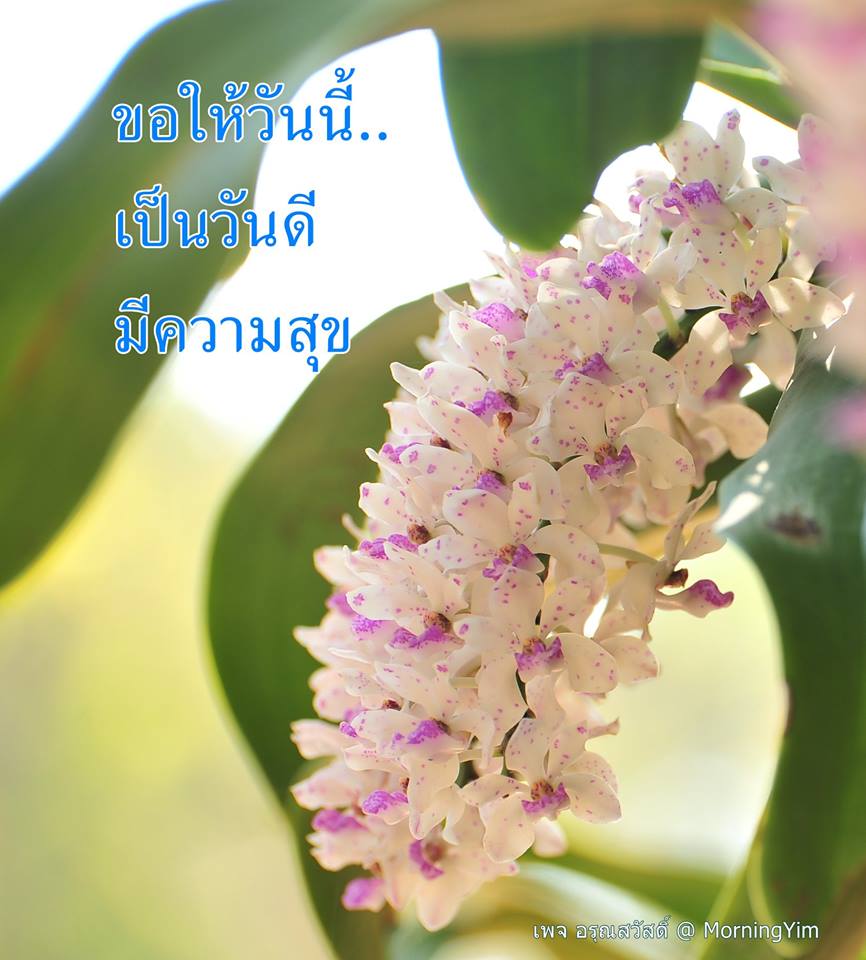 อรุณสวัสดิ์