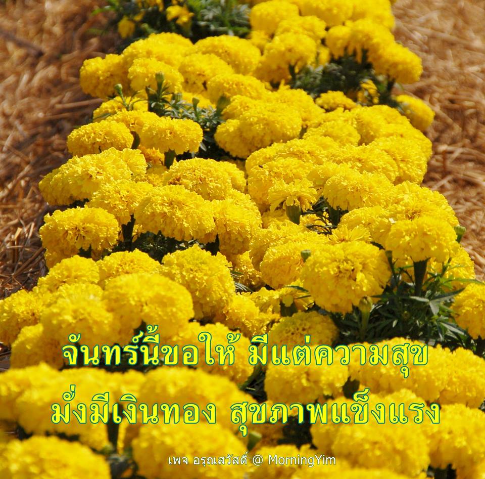 อรุณสวัสดิ์วันจันทร์