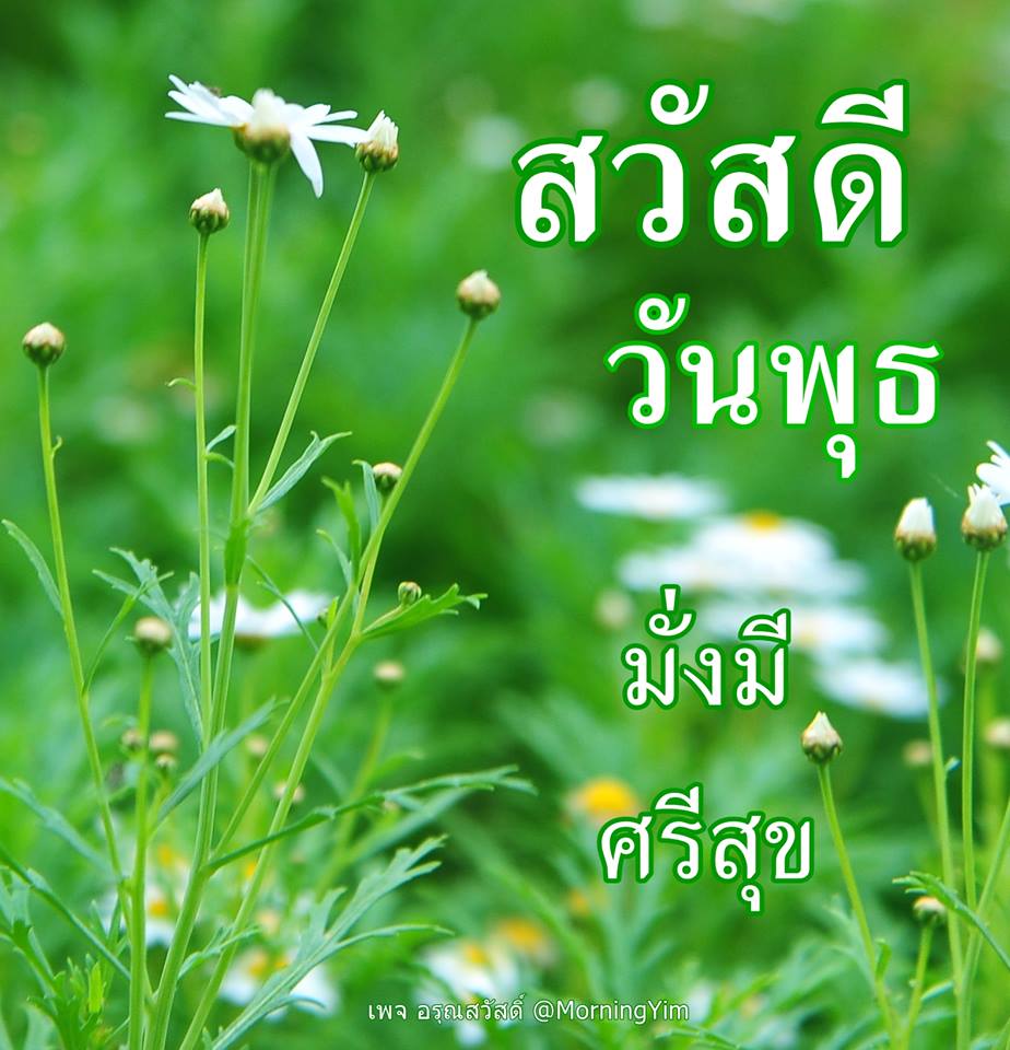 สวัสดีวันพุธ