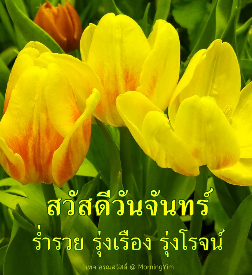 สวัสดีวันจันทร์