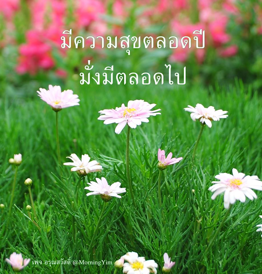 อรุณสวัสดิ์