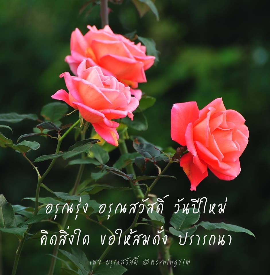 สวัสดีวันปีใหม่