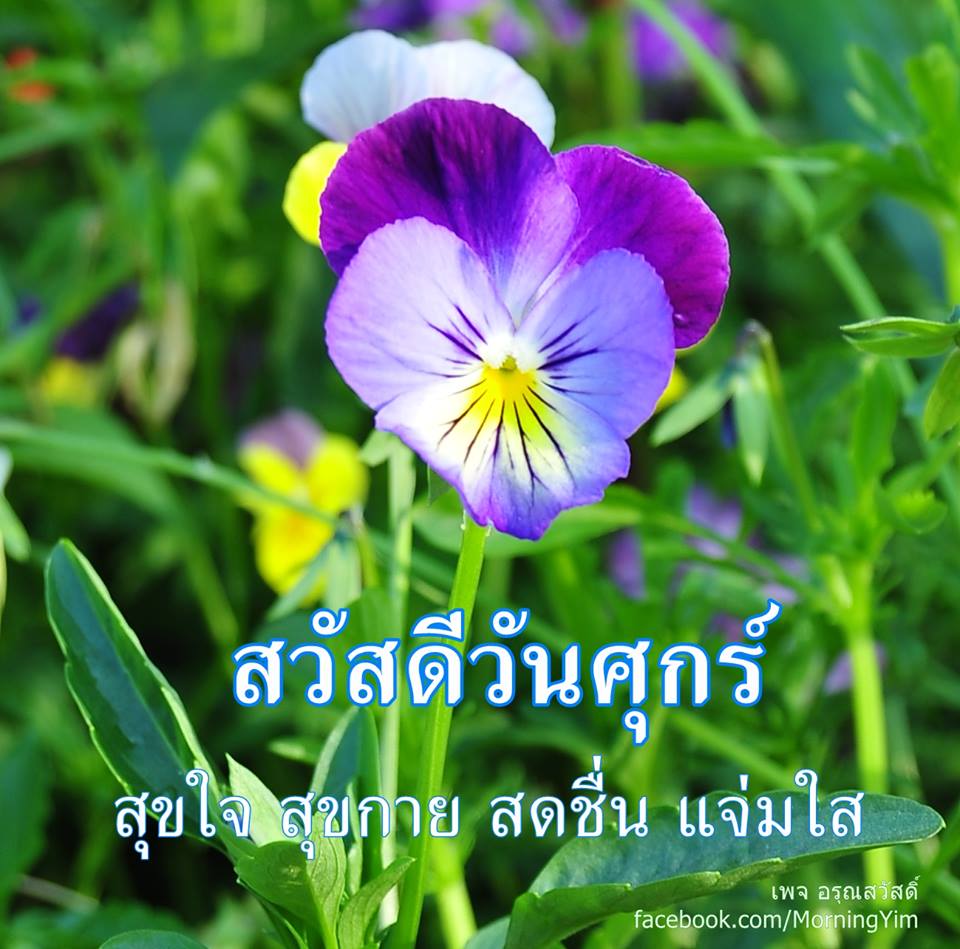 สวัสดีวันศุกร์