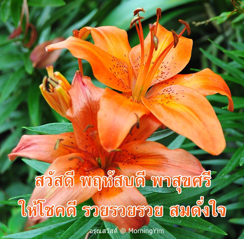 สวัสดีวันพฤหัสบดี
