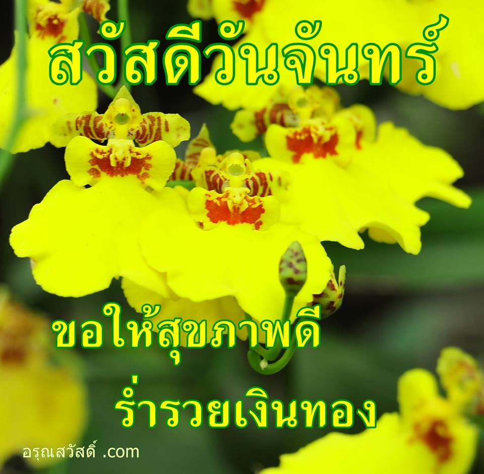 สวัสดีวันจันทร์