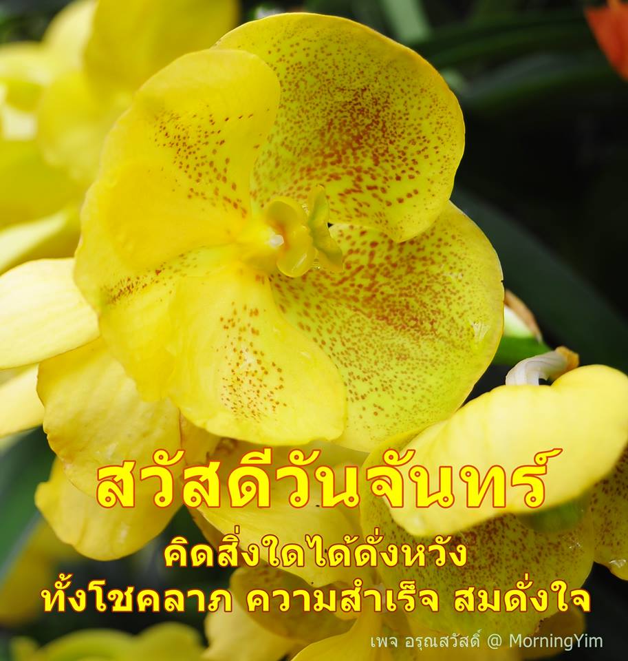 สวัสดีวันจันทร์
