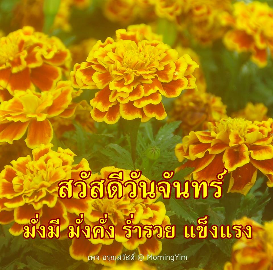 สวัสดีวันจันทร์
