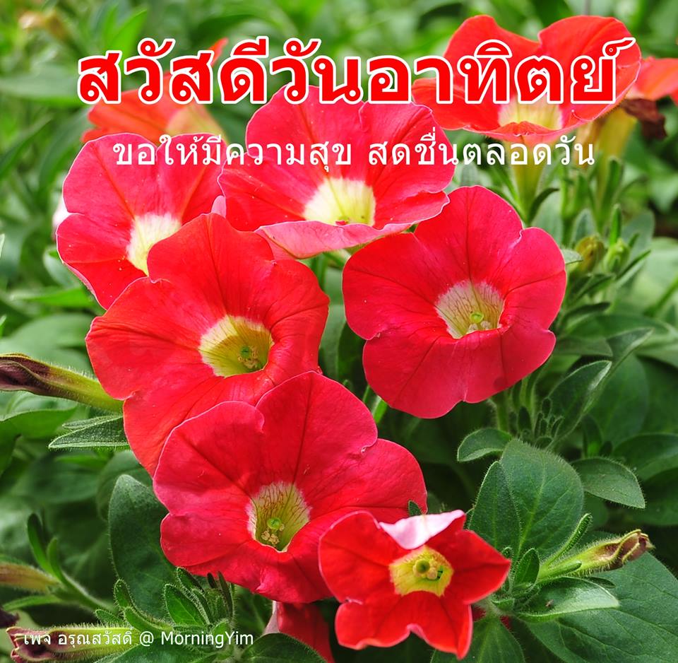 สวัสดีวันอาทิตย์