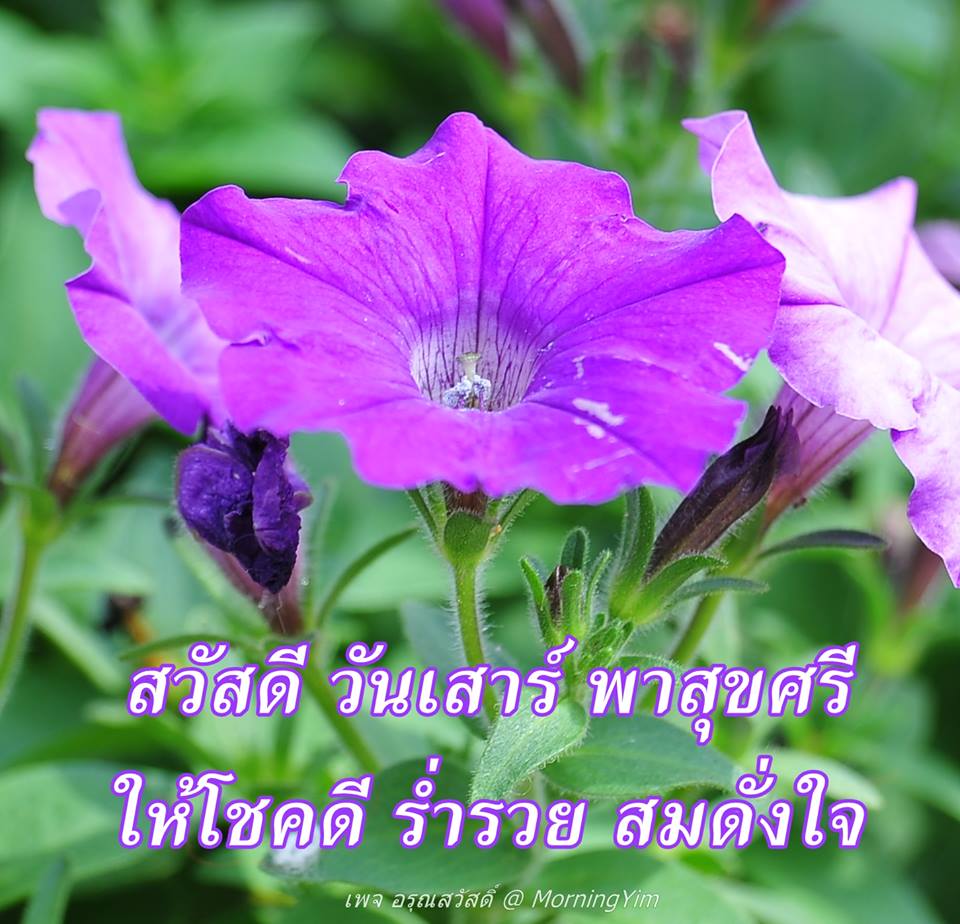 สวัสดีวันเสาร์