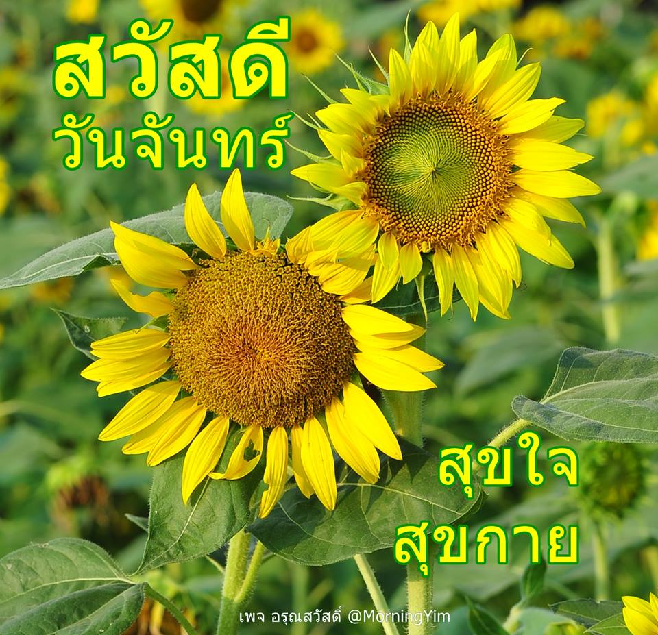My Image 9