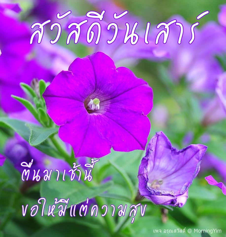 สวัสดีวันเสาร์