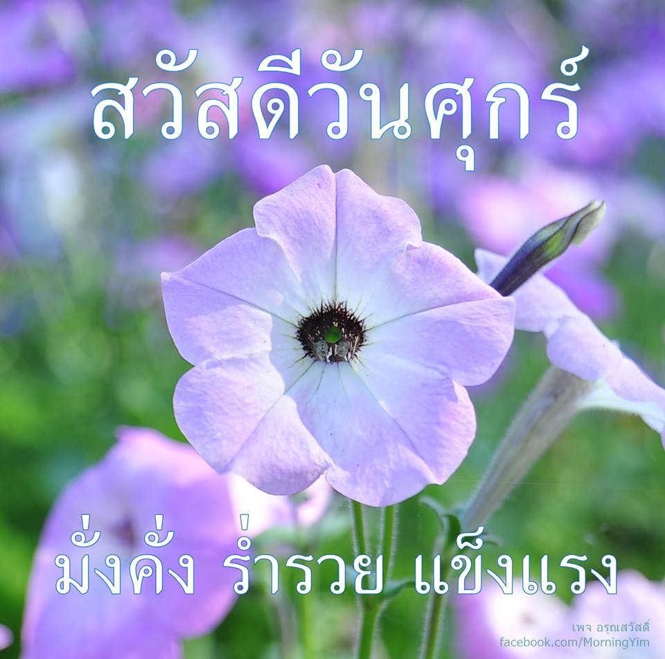 สวัสดีวันศุกร์