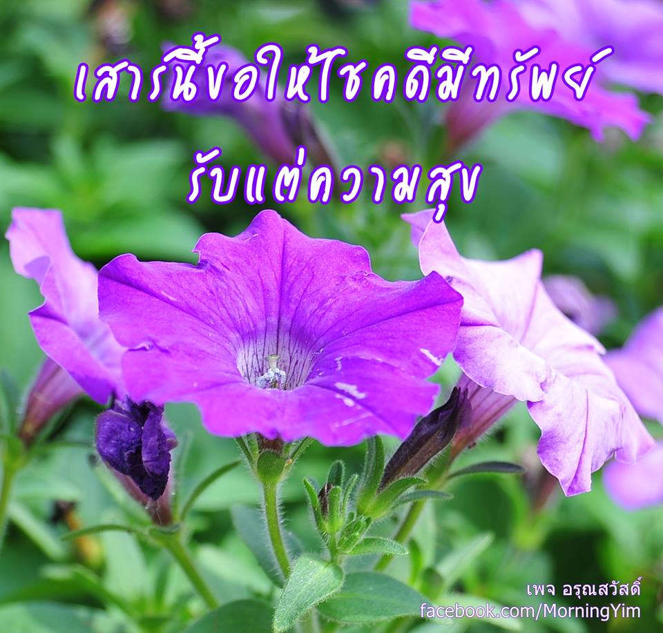 อรุณสวัสดิ์วันเสาร์